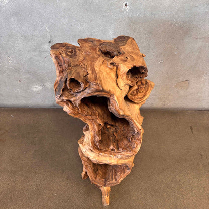 Large - Old Burl/Root Teak - Plant Stand On Display