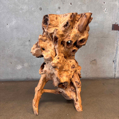 Large - Old Burl/Root Teak - Plant Stand On Display
