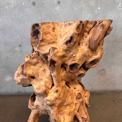 Large - Old Burl/Root Teak - Plant Stand On Display