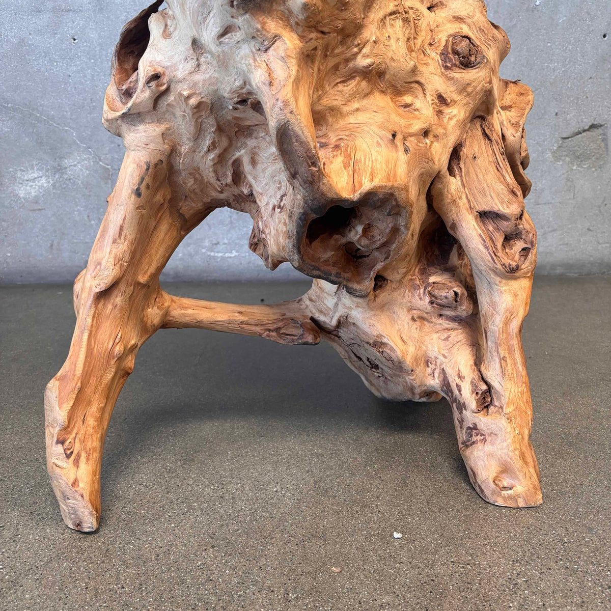 Large - Old Burl/Root Teak - Plant Stand On Display