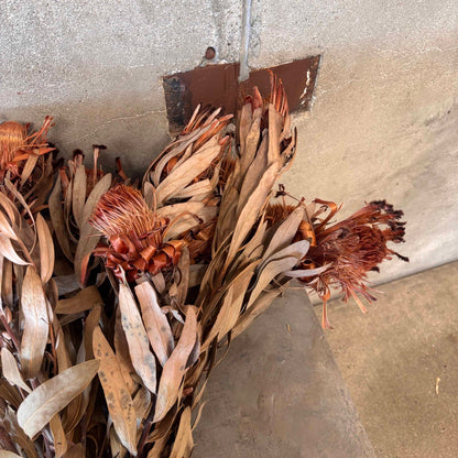 Dried Flower Bunch From the Estate of Dianne Keaton #2