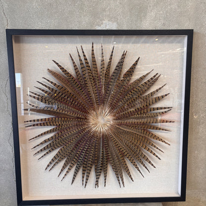 Framed Pheasant Feathers