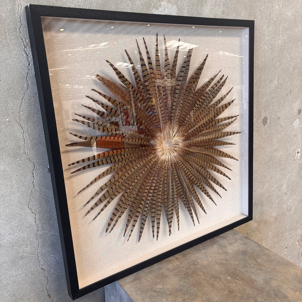 Framed Pheasant Feathers