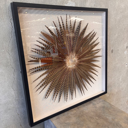 Framed Pheasant Feathers