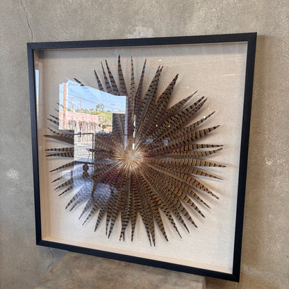 Framed Pheasant Feathers