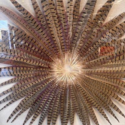 Framed Pheasant Feathers