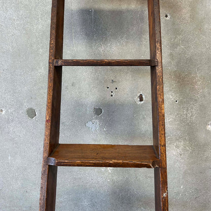 Oak Library Ladder
