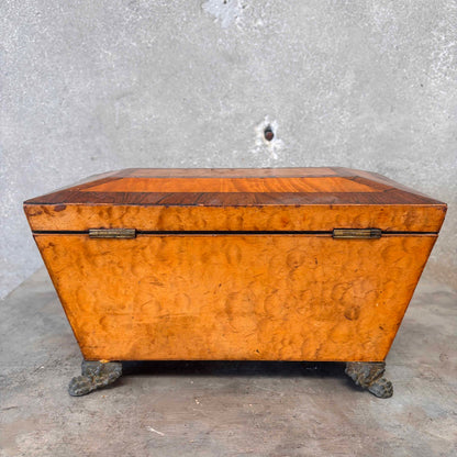 Antique Wood Sarcophagus Style Tea Caddy
