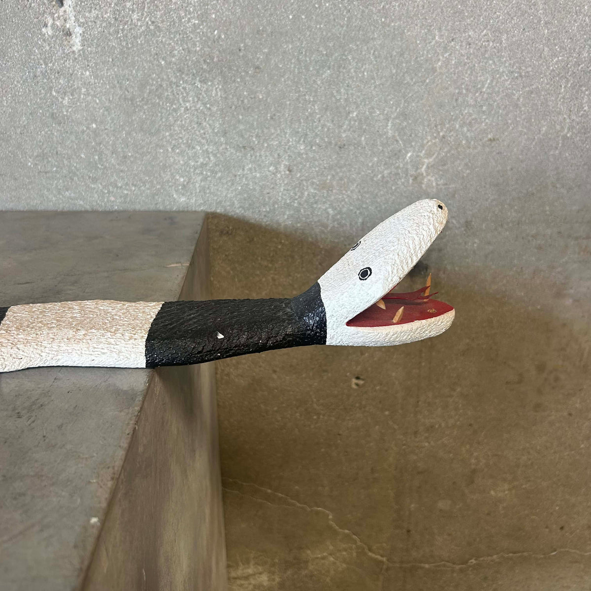 Jim Davila Snake