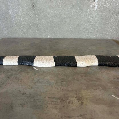 Jim Davila Snake