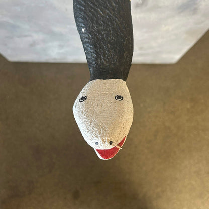 Jim Davila Snake