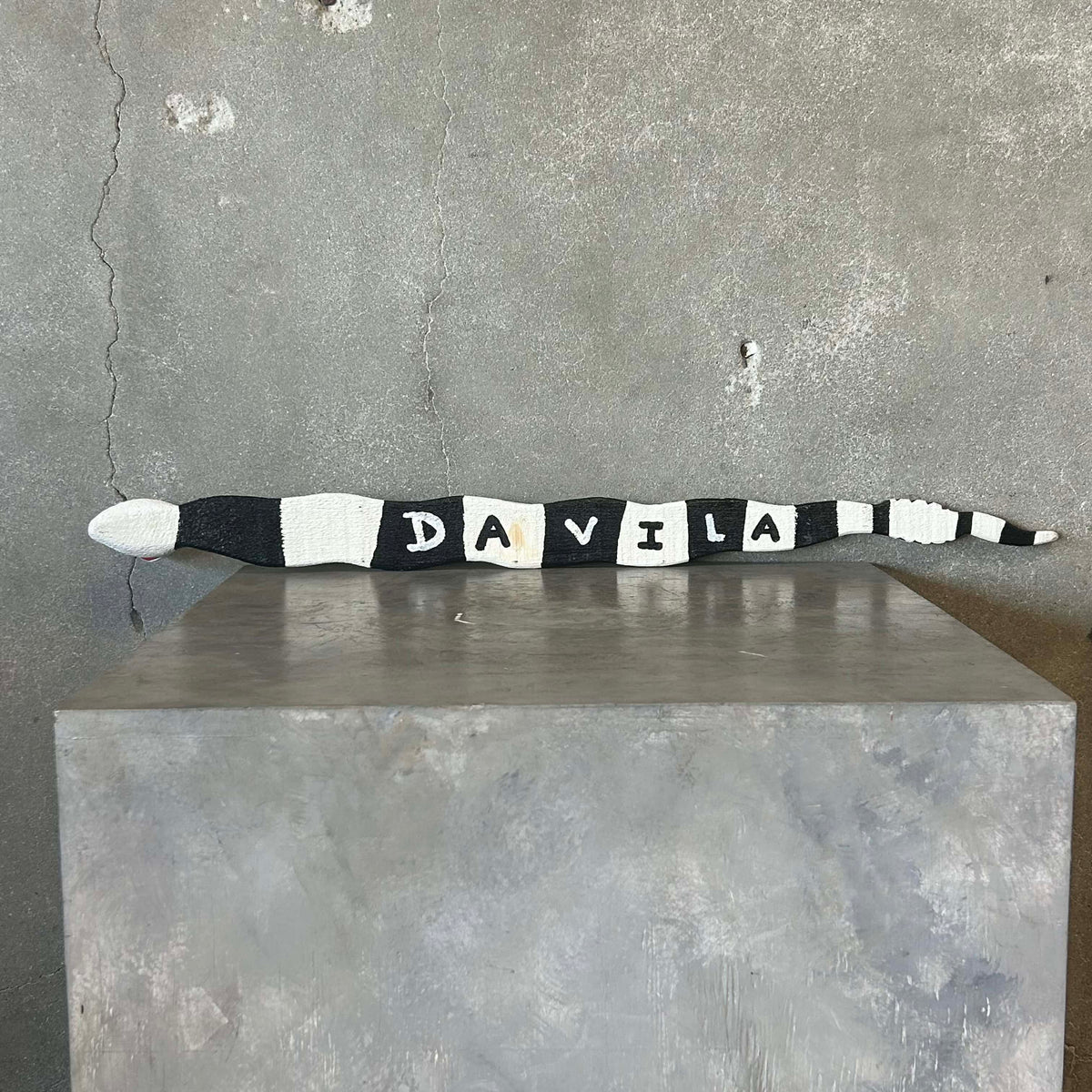 Jim Davila Snake