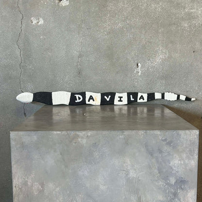 Jim Davila Snake