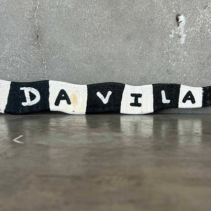 Jim Davila Snake