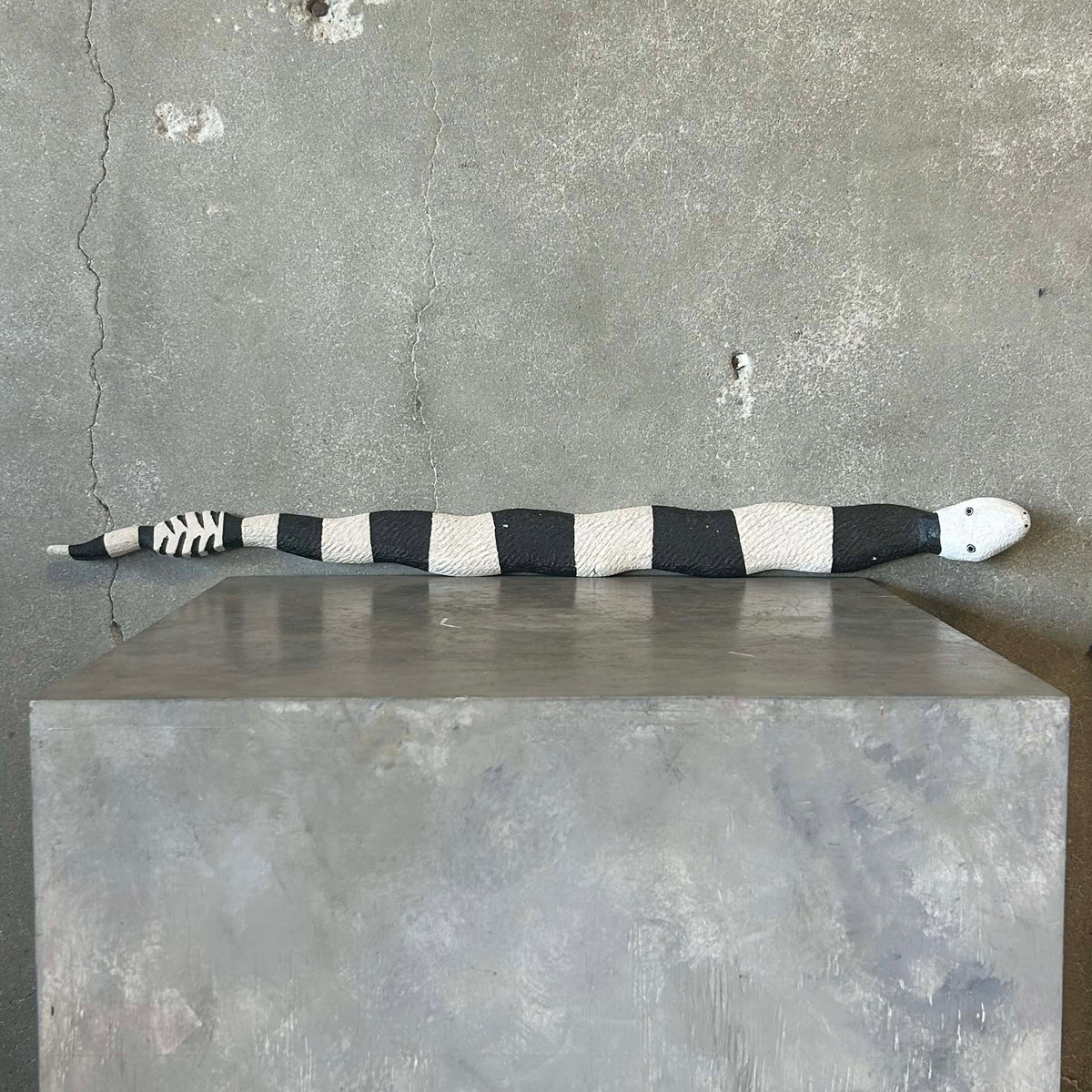 Jim Davila Snake