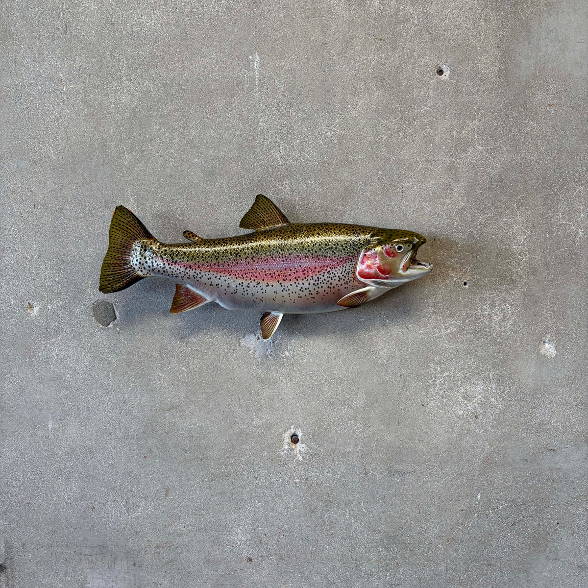 Vintage Fish Wall Mount Sculpture by L. Lyons