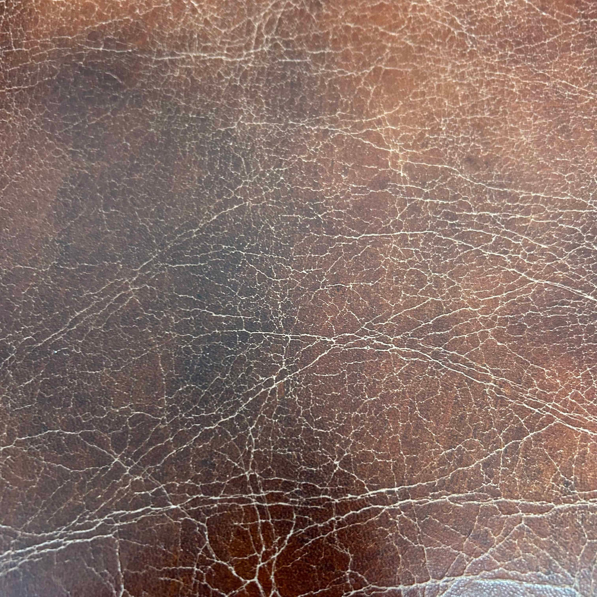 Hickory Chair Company, Leather & Metal #1