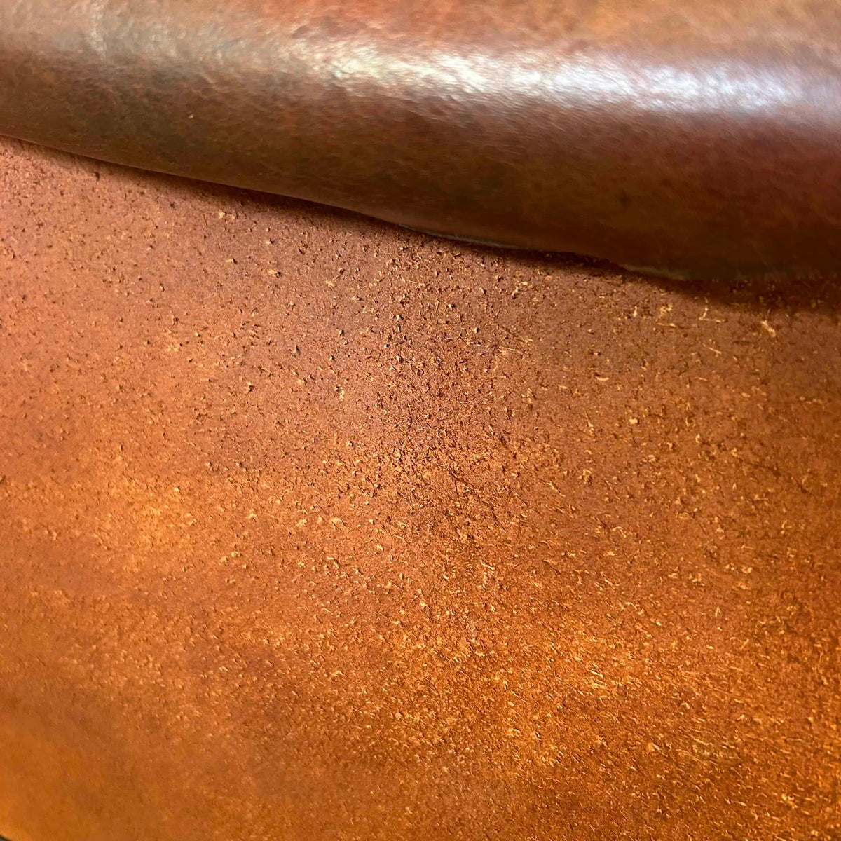 Hickory Chair Company, Leather & Metal #2