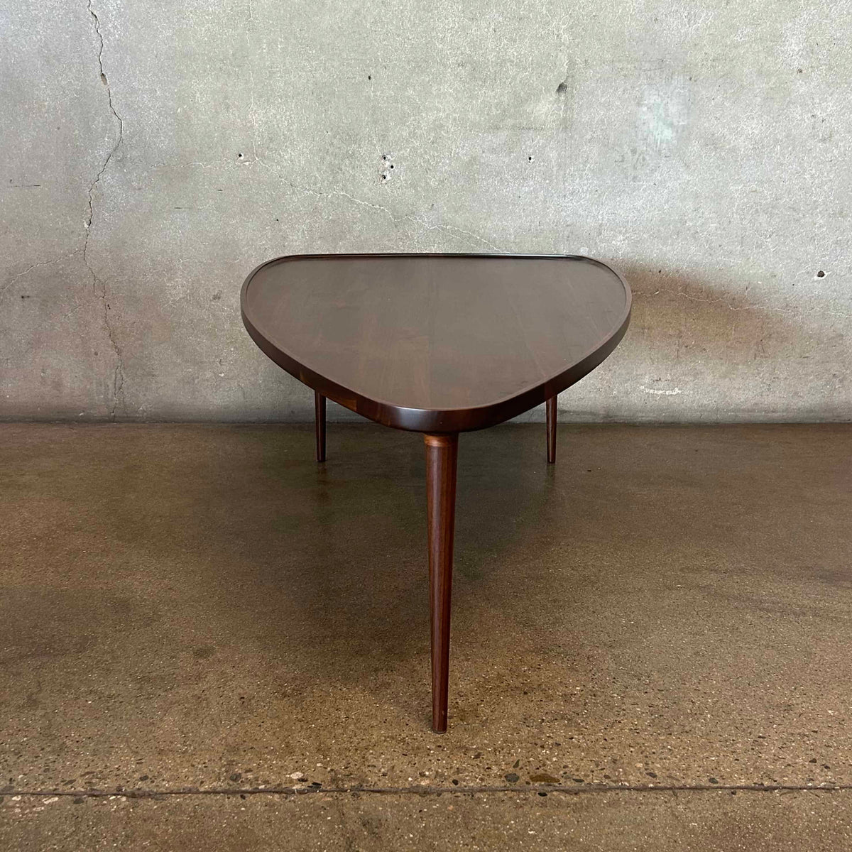 Mid Century Modern Organic Coffee Table