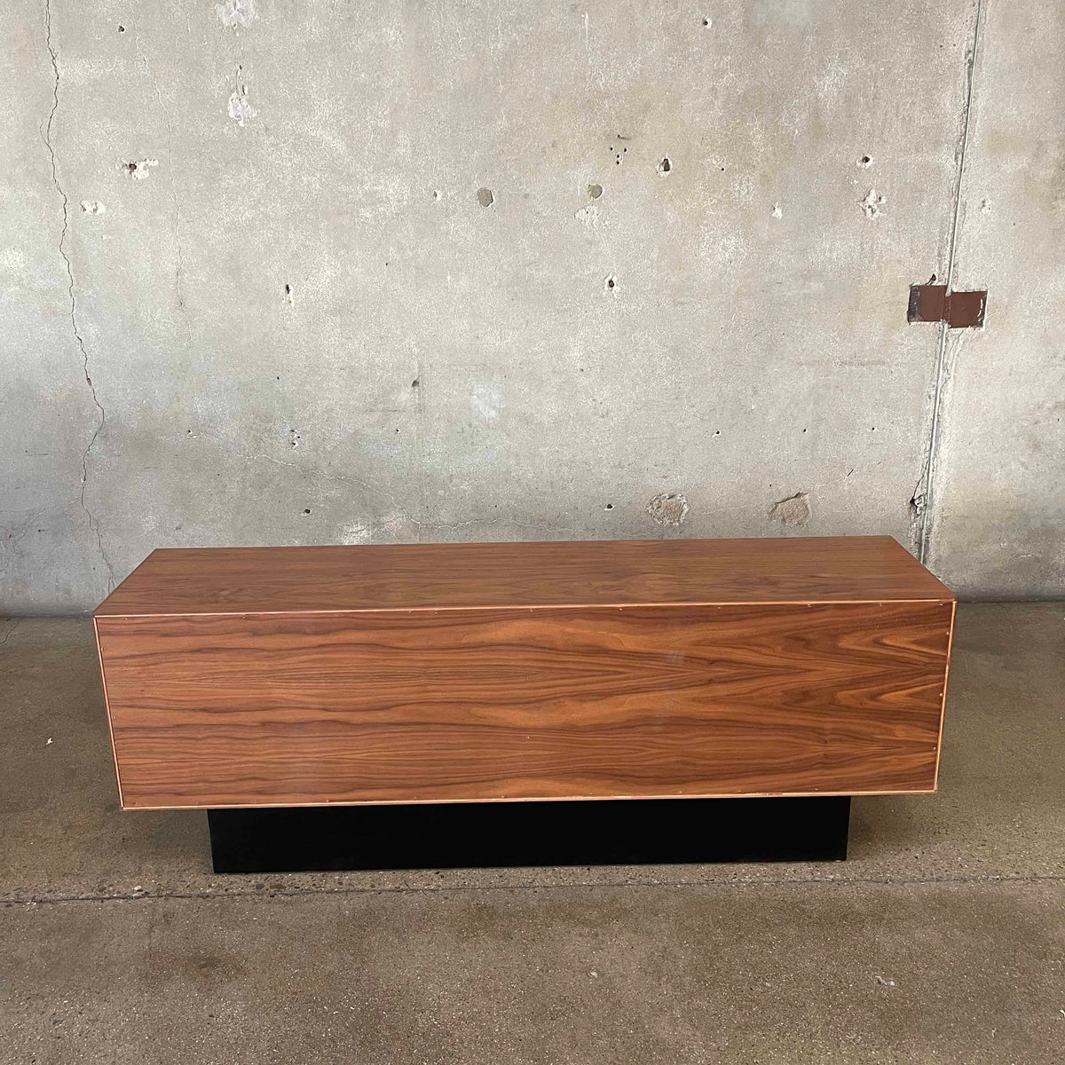 Modern Record Storage Credenza