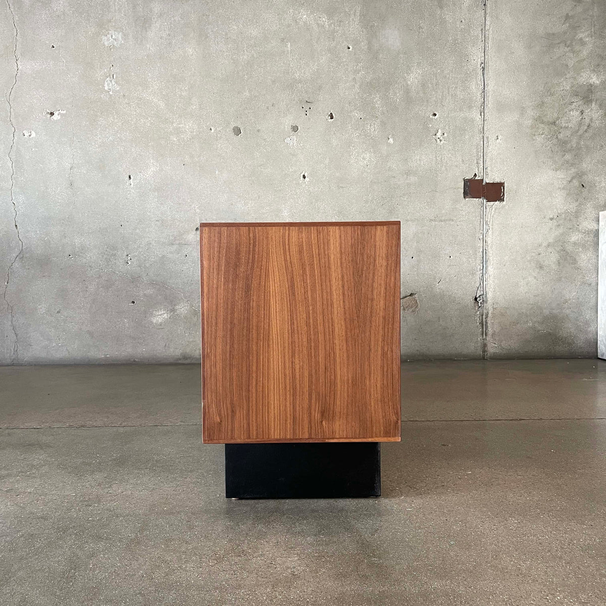 Modern Record Storage Credenza