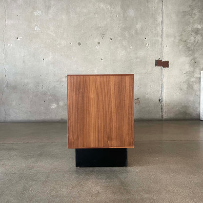 Modern Record Storage Credenza