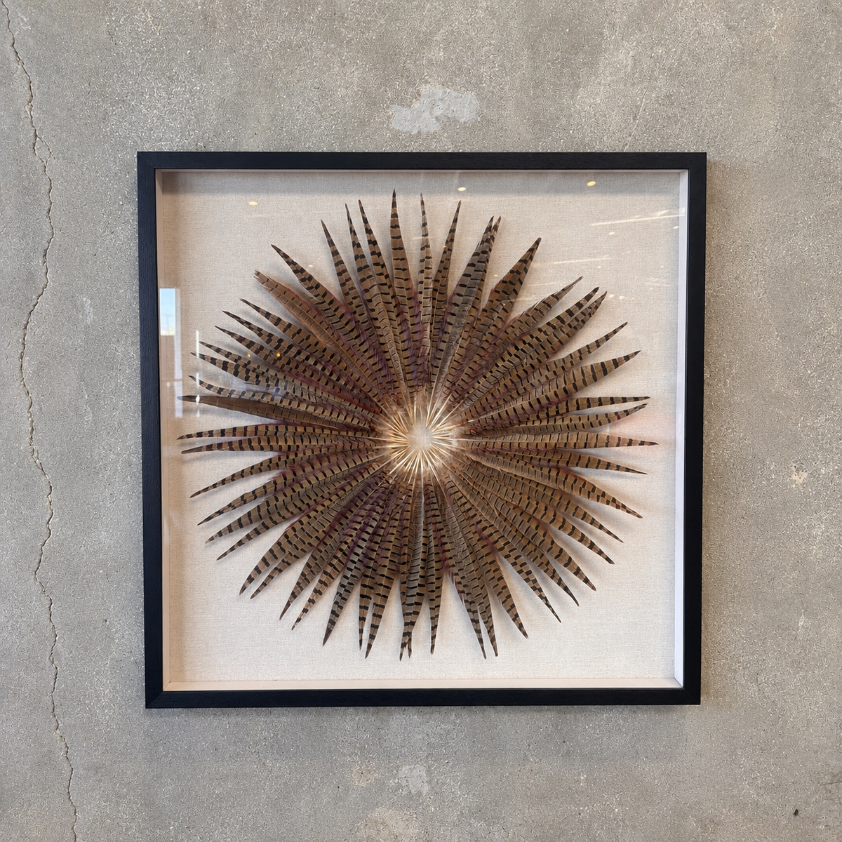 Framed Pheasant Feathers