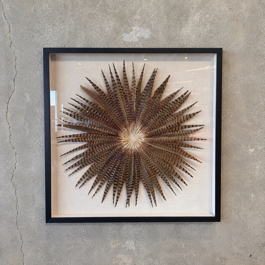 Framed Pheasant Feathers