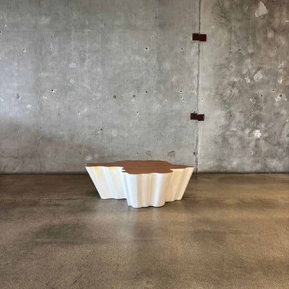 Modern Fiberglass + Walnut Veneer Top Coffee Table