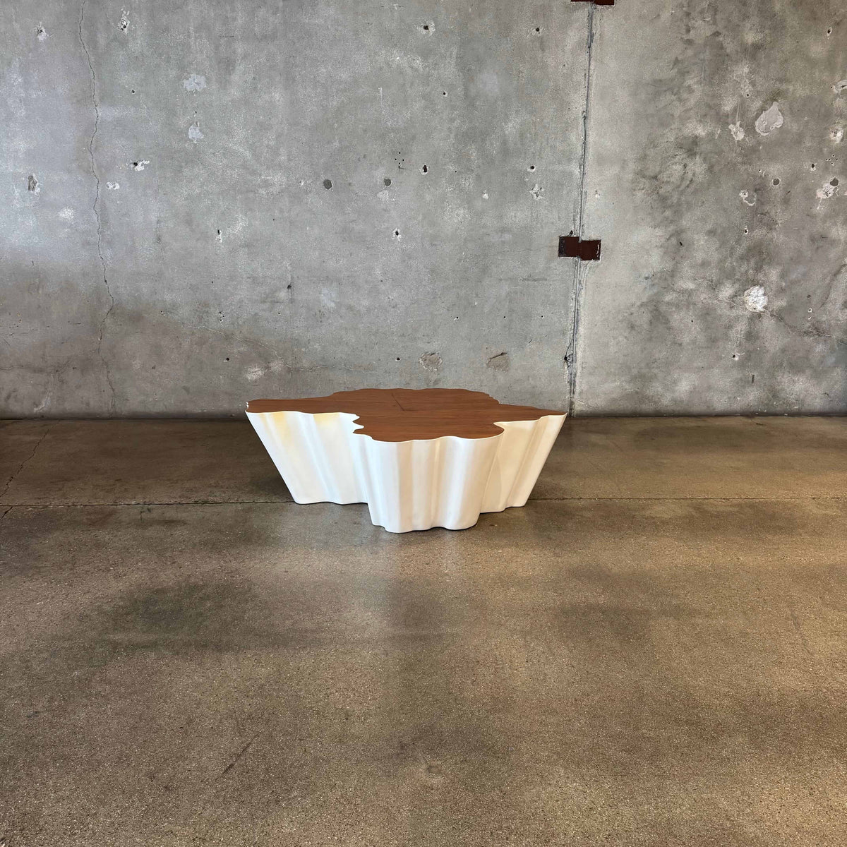 Modern Fiberglass + Walnut Veneer Top Coffee Table