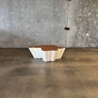 Modern Fiberglass + Walnut Veneer Top Coffee Table