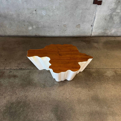Modern Fiberglass + Walnut Veneer Top Coffee Table