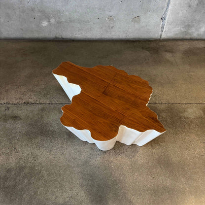 Modern Fiberglass + Walnut Veneer Top Coffee Table