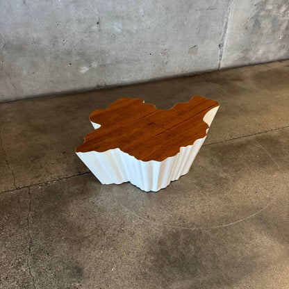 Modern Fiberglass + Walnut Veneer Top Coffee Table