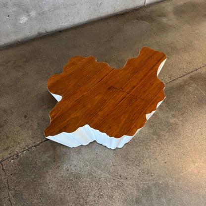 Modern Fiberglass + Walnut Veneer Top Coffee Table