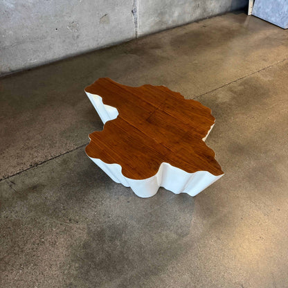 Modern Fiberglass + Walnut Veneer Top Coffee Table