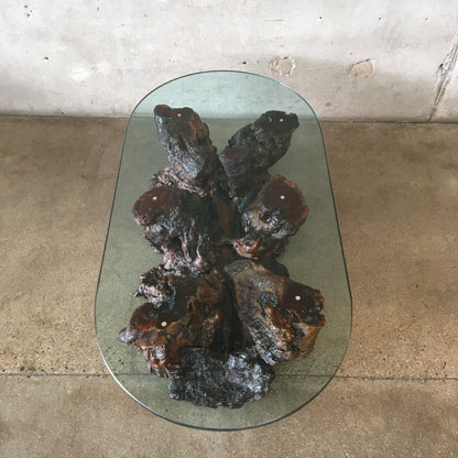 Mid Century Modern Burlwood Coffee Table