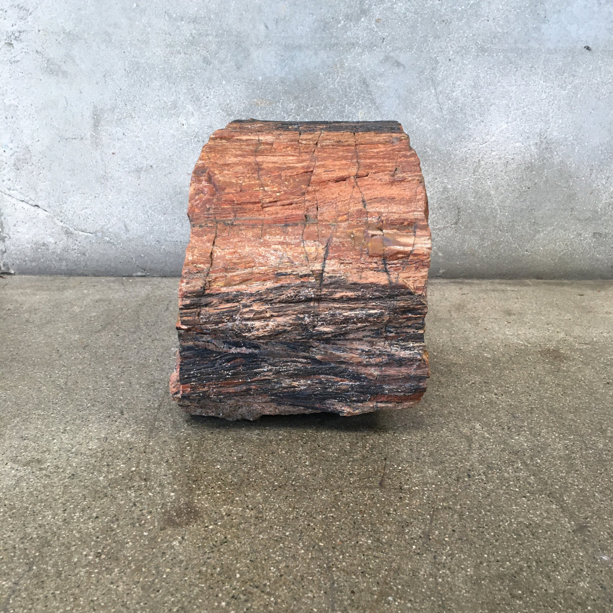 Petrified Wood