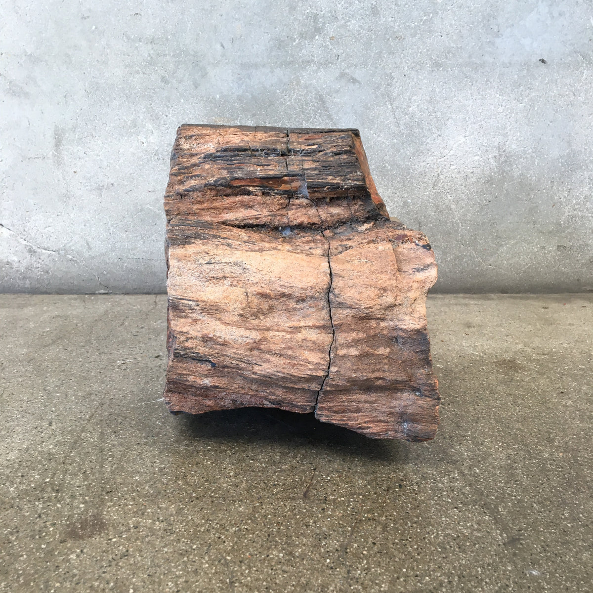 Petrified Wood