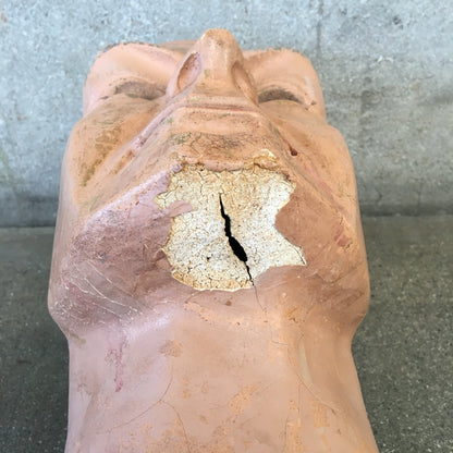 Vintage Mannequin Head