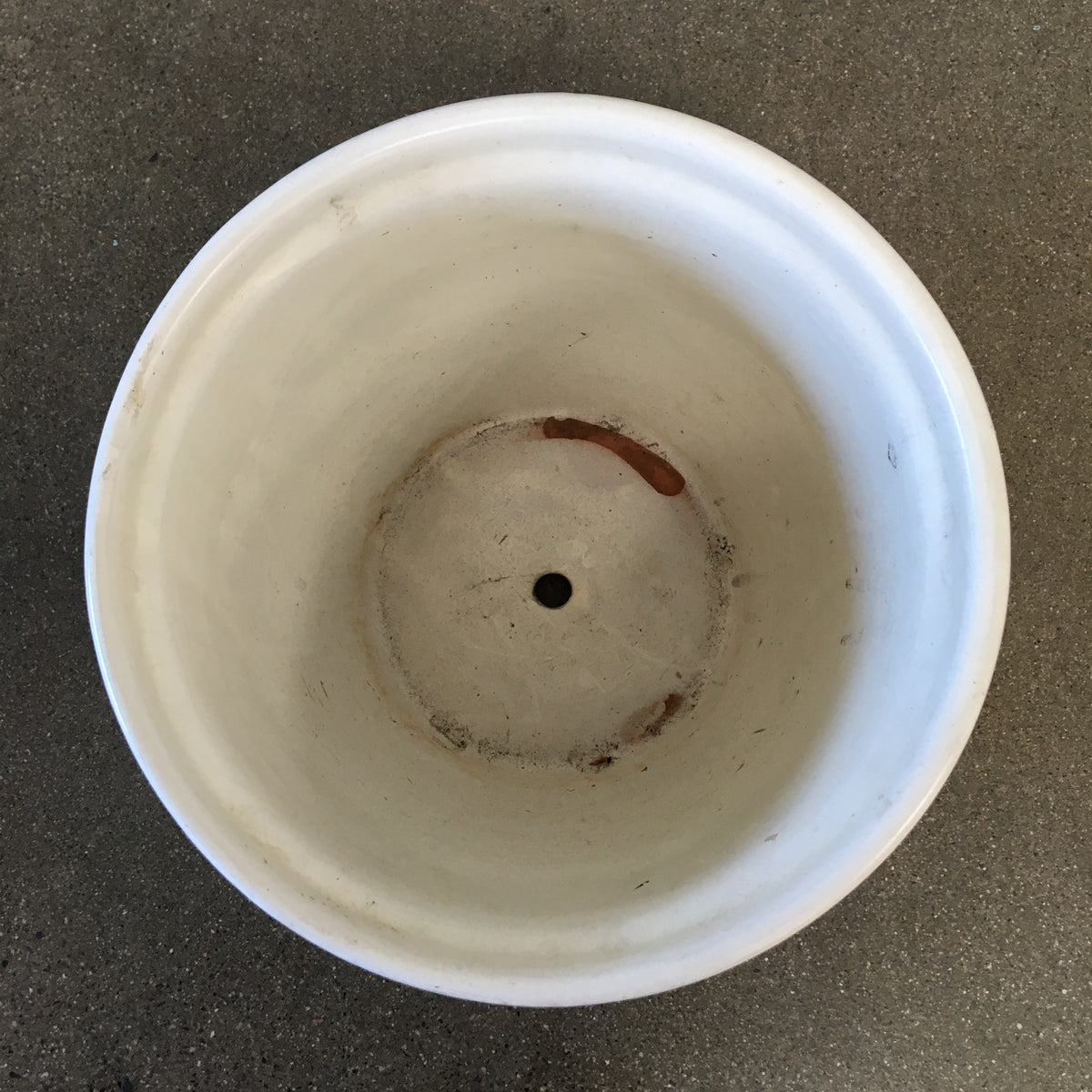 White Flower Pot