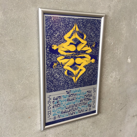 Framed Taj Mahal Poster